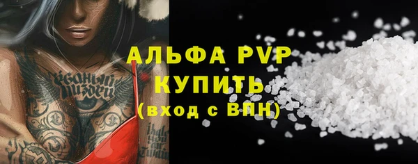 стаф Алексин