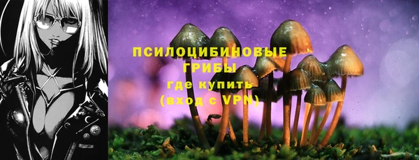 стаф Алексин