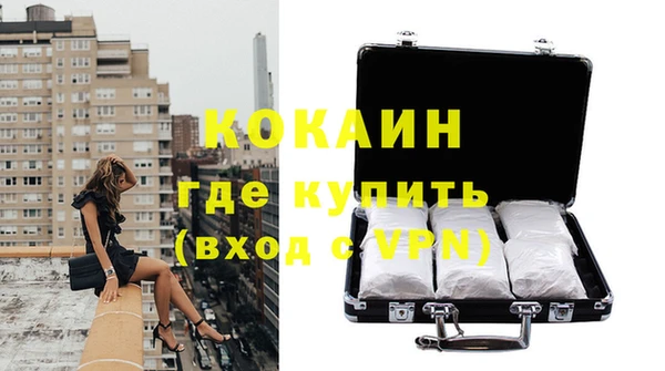 стаф Алексин